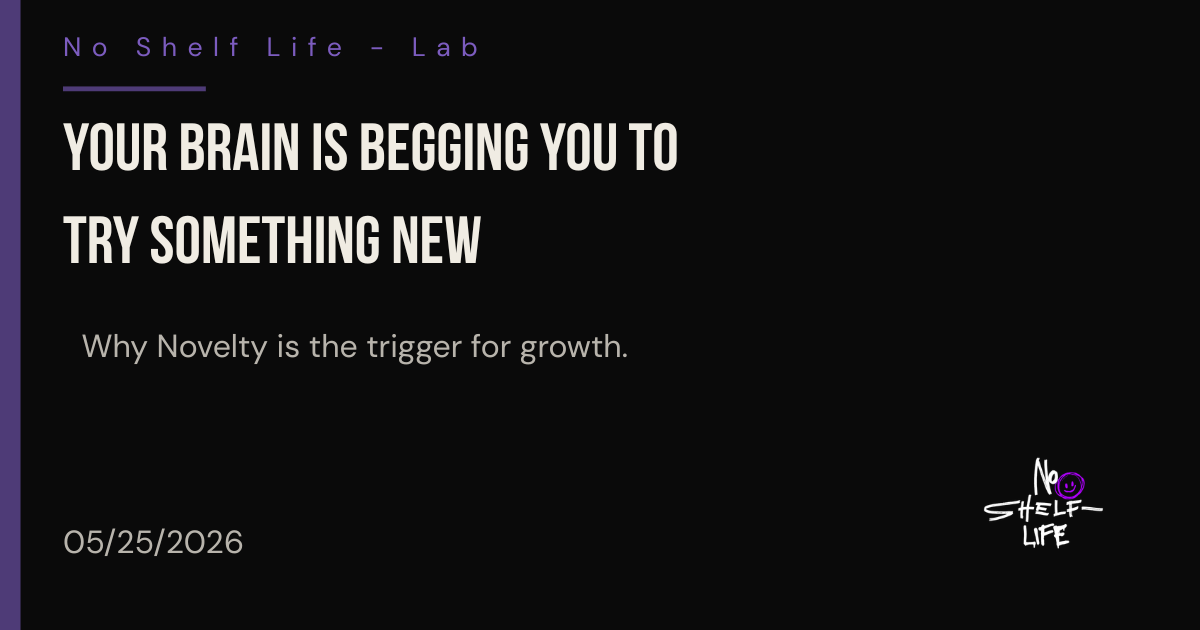 Your Brain Is Begging You to Try Something New